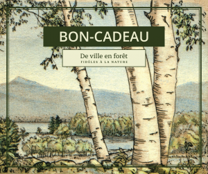 Au bord de l'eau