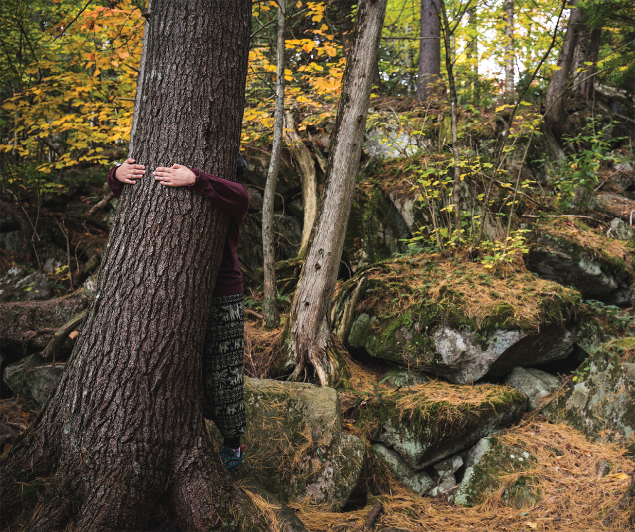 enfant caché derrière un arbre avec les bras de part et d'autre pour tenir le tronc