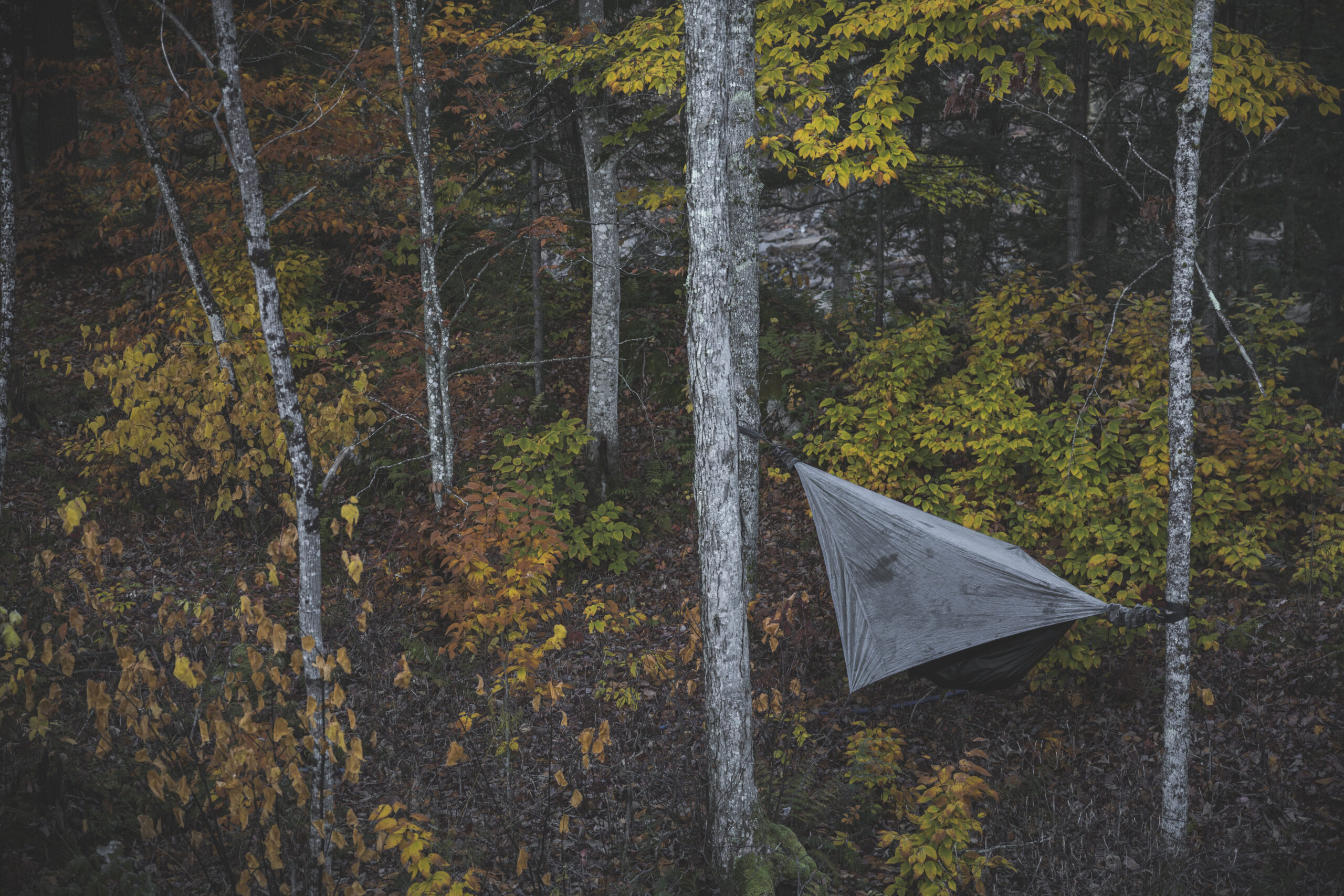 toile de camping étendue entre plusieurs arbres en plein air