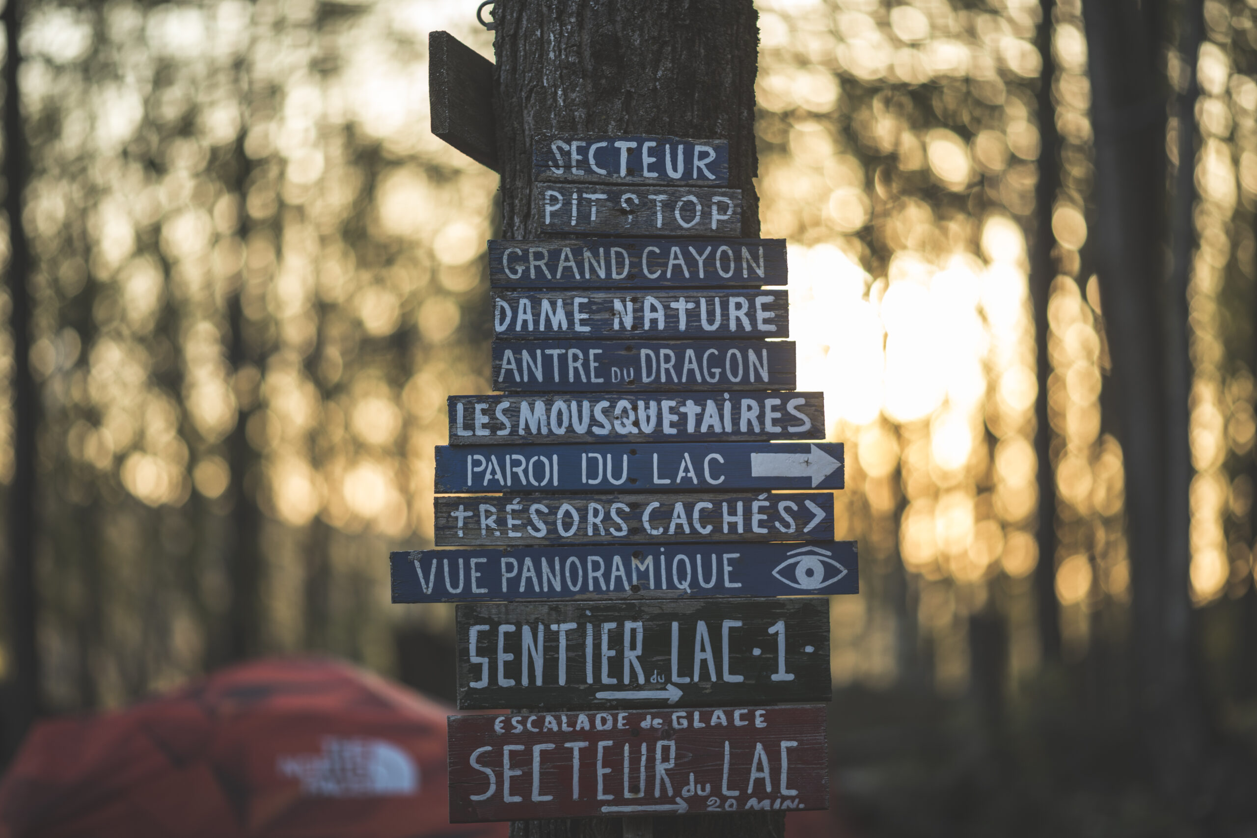 tronc d'arbre sur lequel sont accrochés des panneaux en bois