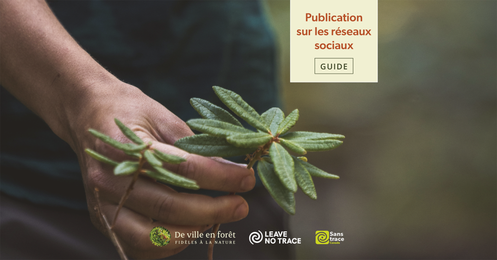 Guide pour la publication sur les médias sociaux