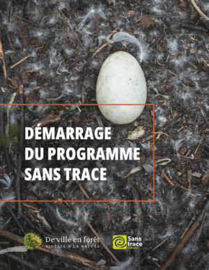 Démarrage du programme Sans trace